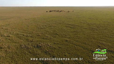 FAZENDA À VENDA NO RS COM 2274 HA (2).00_02_26_21.Quadro012_914bc2b1b58c6eeb6ae1d45bed2faa4a20f24e6a.png